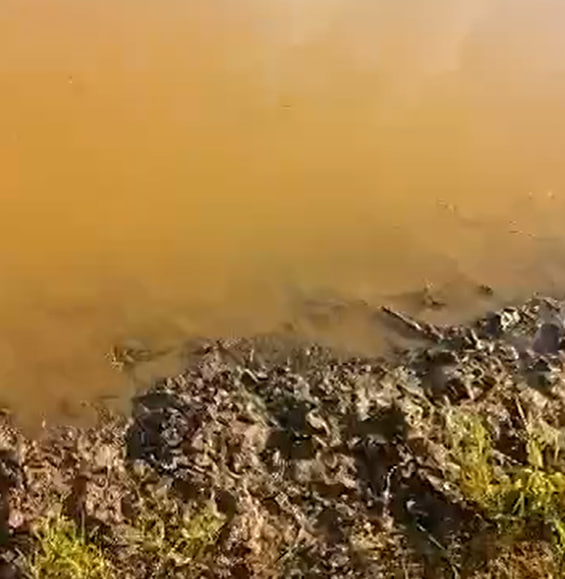 Жители района в Забайкалье пожаловались на старателей, загрязнивших реку Чикой