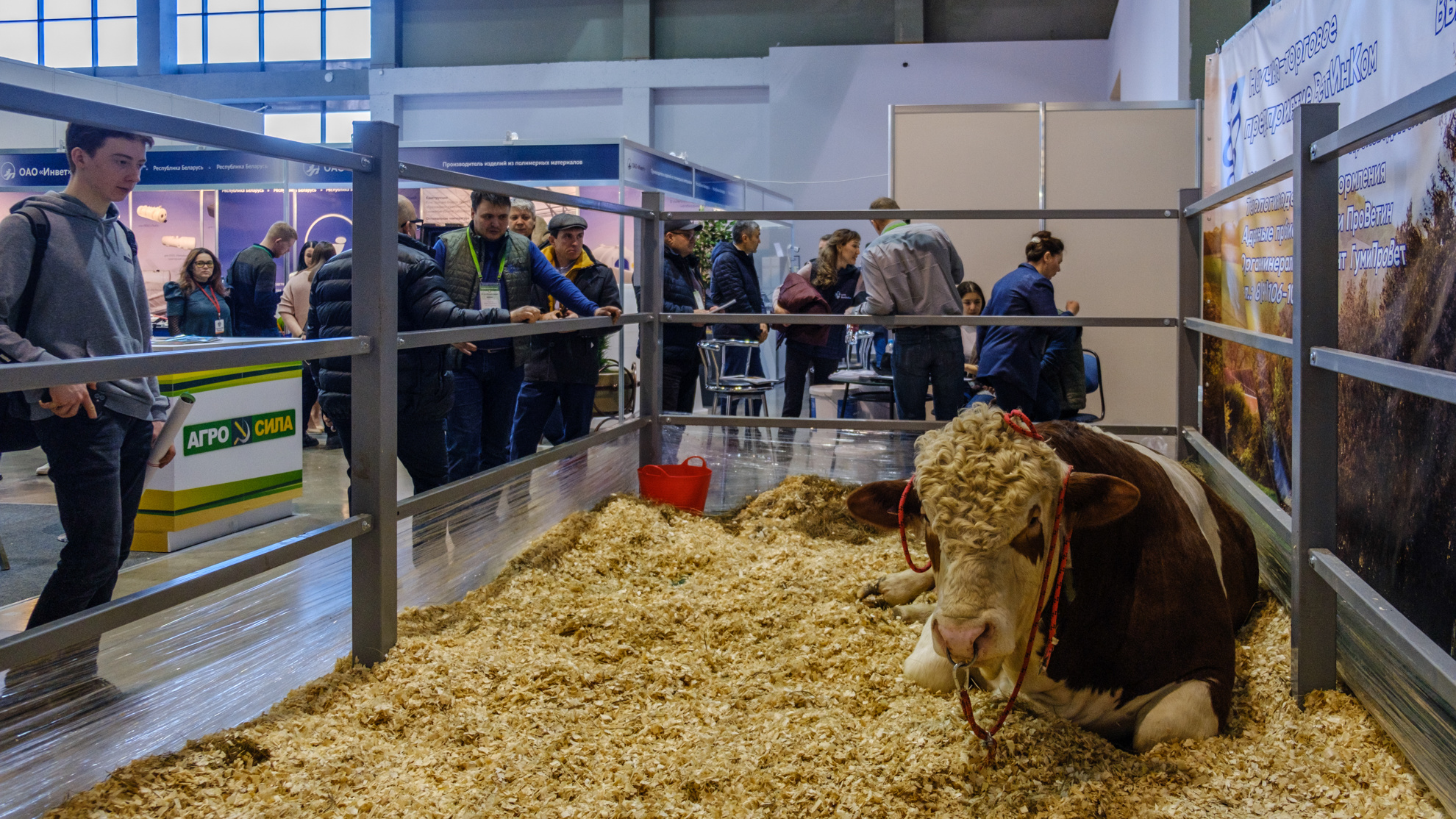 Тракторов много, а корова одна: фоторепортаж с агропромышленной выставки в Уфе