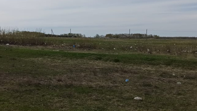 «Простирается свинарник»: новосибирская трасса и окрестные поля утонули в мусоре — его несет со свалки