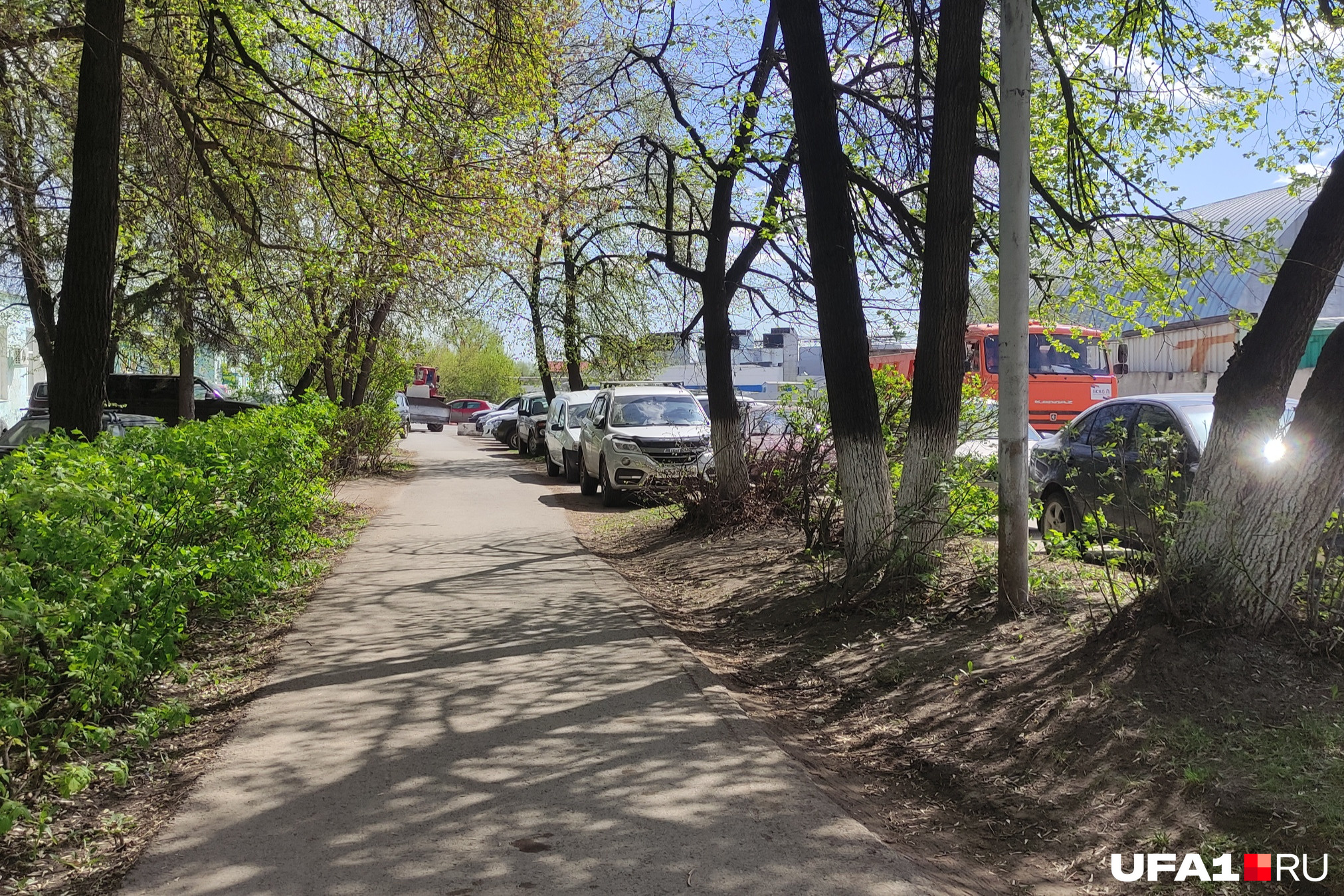 Где-то в середине улицы Цветочной внезапно появляется тротуар. Мелочь, а приятно