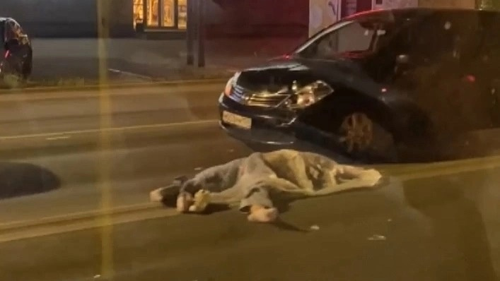 В Перми пьяный водитель сбил двоих подростков, 17-летняя девочка погибла