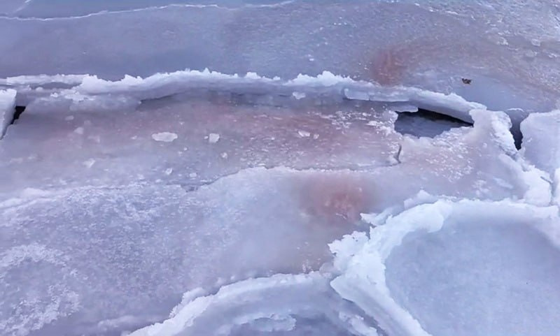 В Приморье покраснел лёд. Учёные объяснили, почему такое произошло