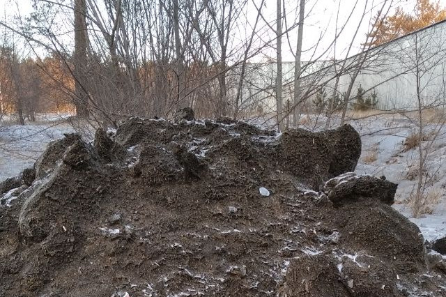 Кучи наледи и песка с дорог выбросили в лесу около телецентра в Чите