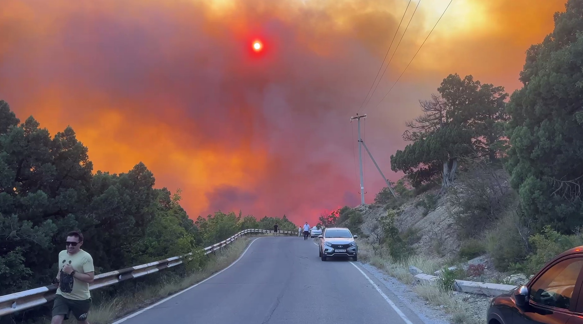 «Вокруг огонь, пепел и погибшая природа». Как тушили крупный лесной пожар под Новороссийском