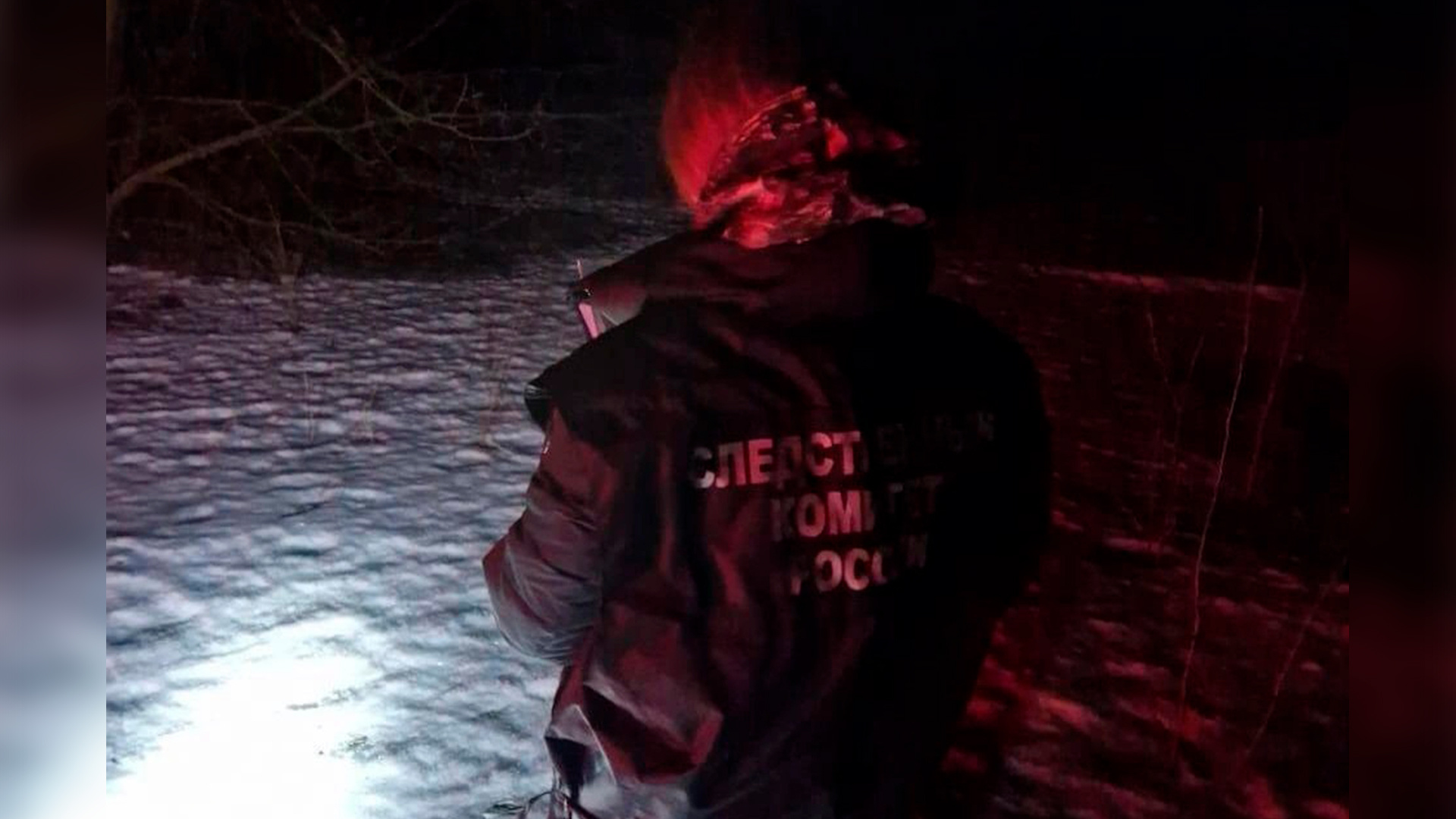 Следователи раскрыли, кто выстрелил в голову <nobr class="_">40-летней</nobr> женщине в поле Воронежской области