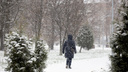 «Первая в сезоне метель»: в МЧС выпустили экстренное предупреждение о снегопаде в Ярославле. Когда