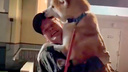 Трогательнее «Хатико»: смотрим, как собаки встретили приехавшего с СВО челябинца