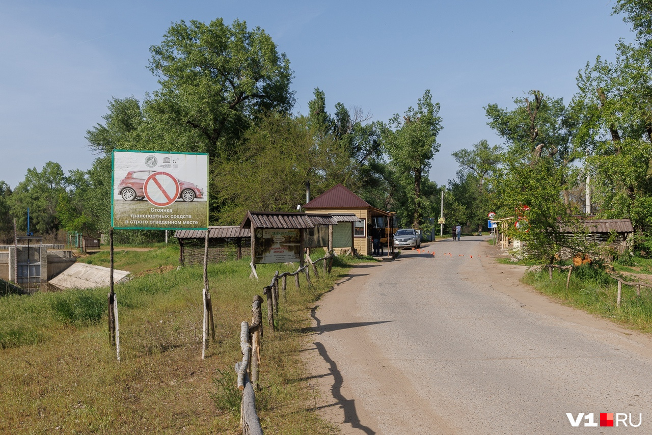 Верблюд беседки волгоград