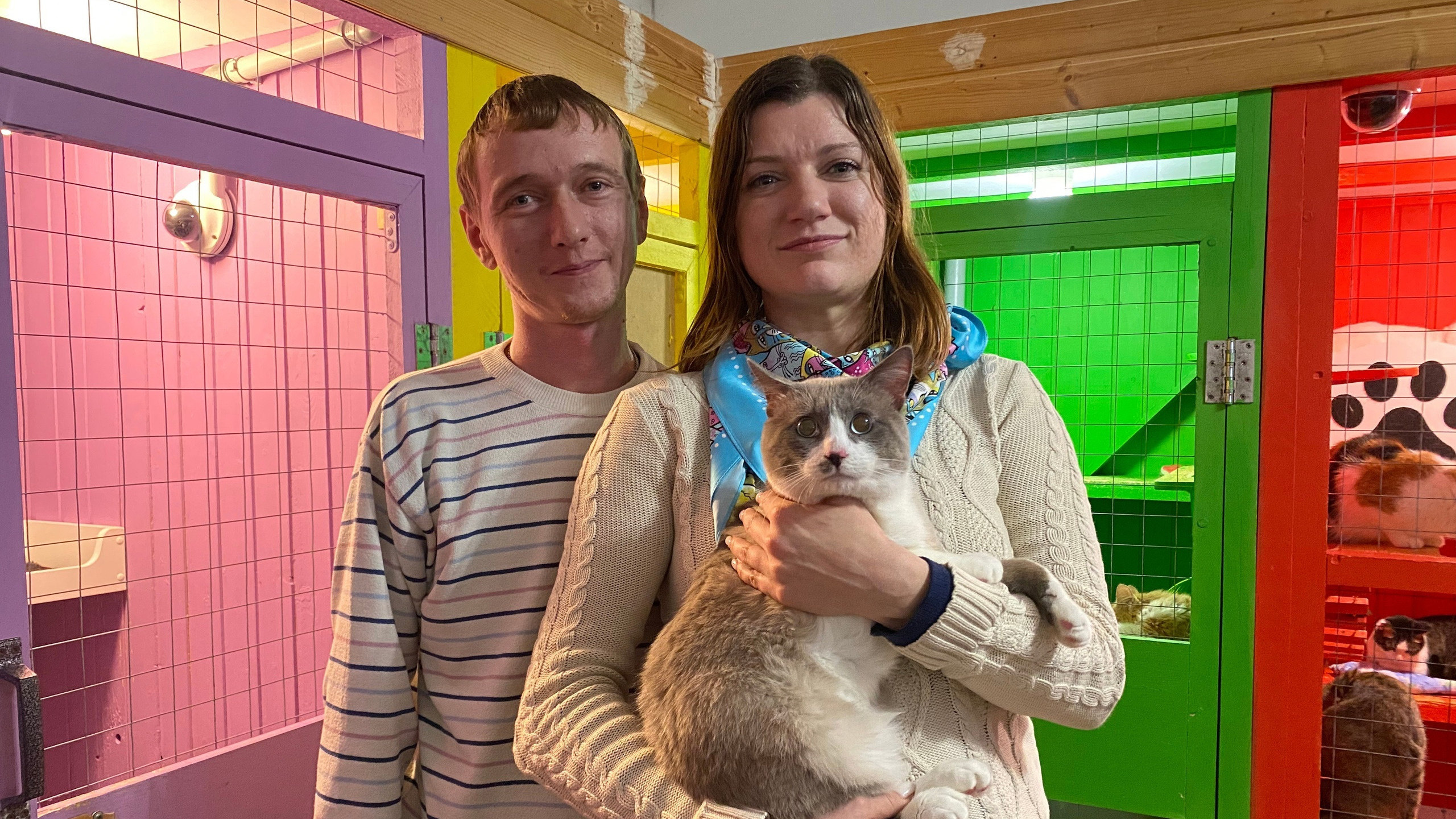 «У нас была любовь с первого взгляда»: пара из Ростова спасла от Волгограда бездомного кота невероятной красоты