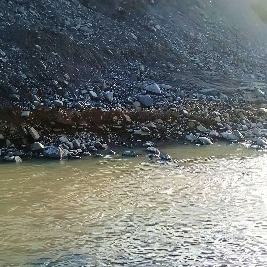 Три золотодобывающие компании загрязнили реки в районах Забайкалья