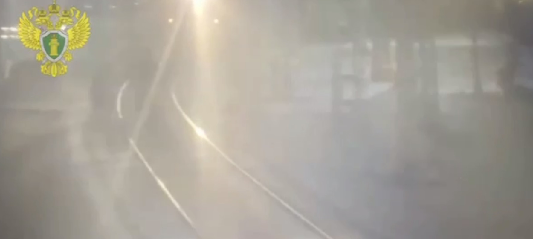 Гибель трёх человек под поездом на станции «Рижская» попала на видео