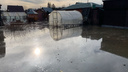 «О проблеме узнал час назад»: СНТ под Новосибирском затопило талыми водами — из отпуска на помощь выдернули главу сельсовета