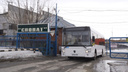 В Сургуте массово жалуются на смену перевозчика трех популярных маршрутов — что говорят в мэрии