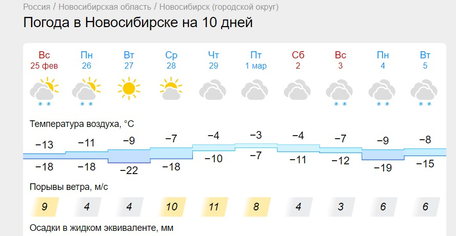 Новосибирск прогноз на февраль