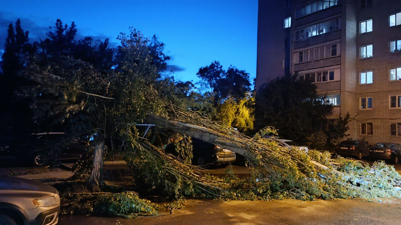 Во время урагана в Воронеже рухнули 80 деревьев, повреждены машины и крыши домов, на памятнике Славы потух Вечный огонь