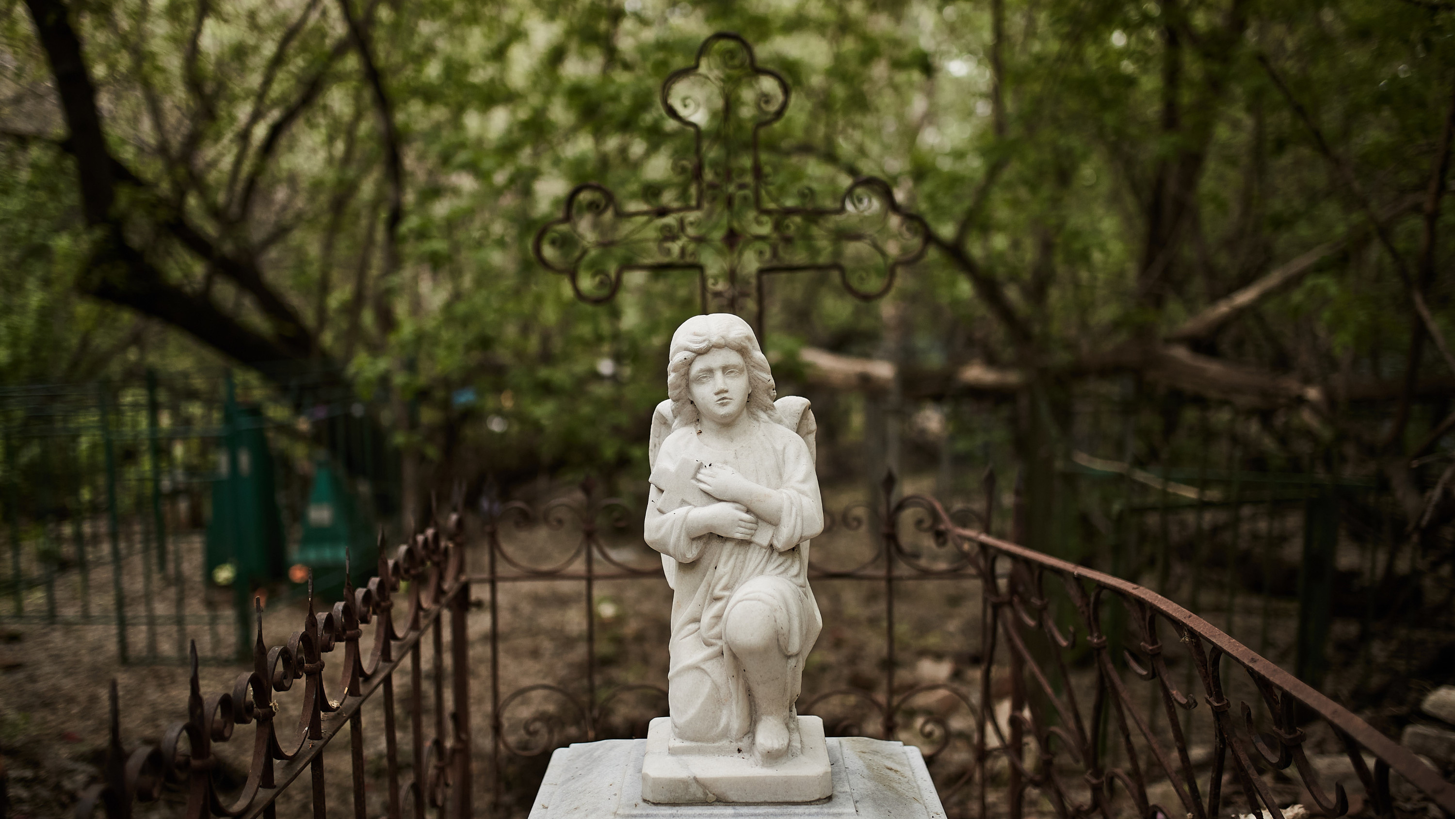 «В склепе детские косточки и ангел»: кладбище XIX века нашли в Куйбышеве — репрессированных здесь хоронили поверх могил купцов