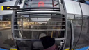 Новосибирский зацепер прокатился по городу на троллейбусе и снял это на видео