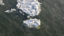 Четверых новосибирцев унесло на льдине от берега — они хотели порыбачить