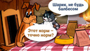 Владелец «Старого Еревана» запустит производство кормов для собак и кошек в Челябинске