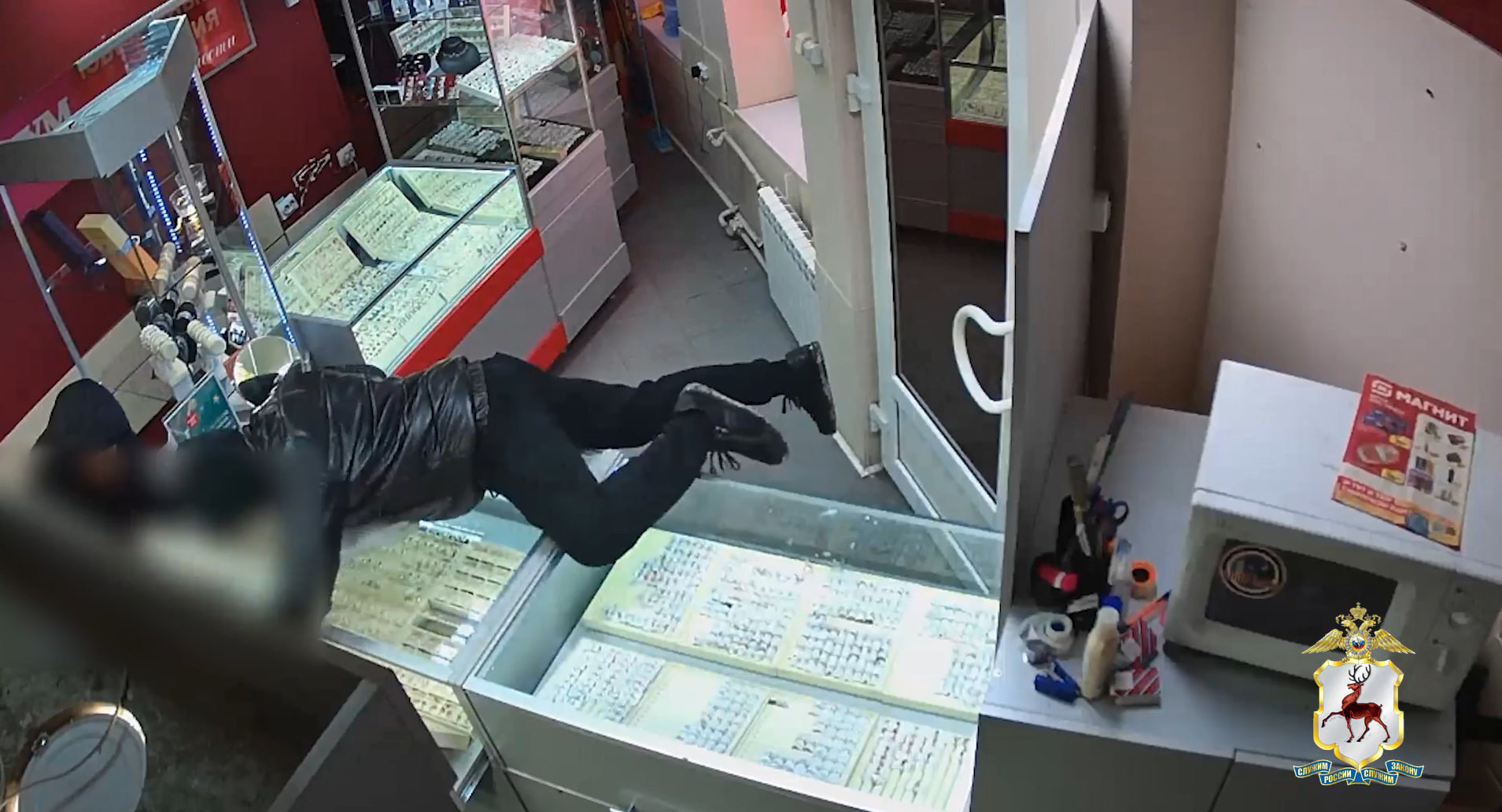 Грабители-неудачники. В Богородске бомж с напарником обнесли ювелирный салон на 4 млн рублей — видео