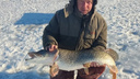 «Кум за мелочью не ездит!»: новосибирский рыбак поймал на удочку щуку весом почти в <nobr class="_">10 кг</nobr>