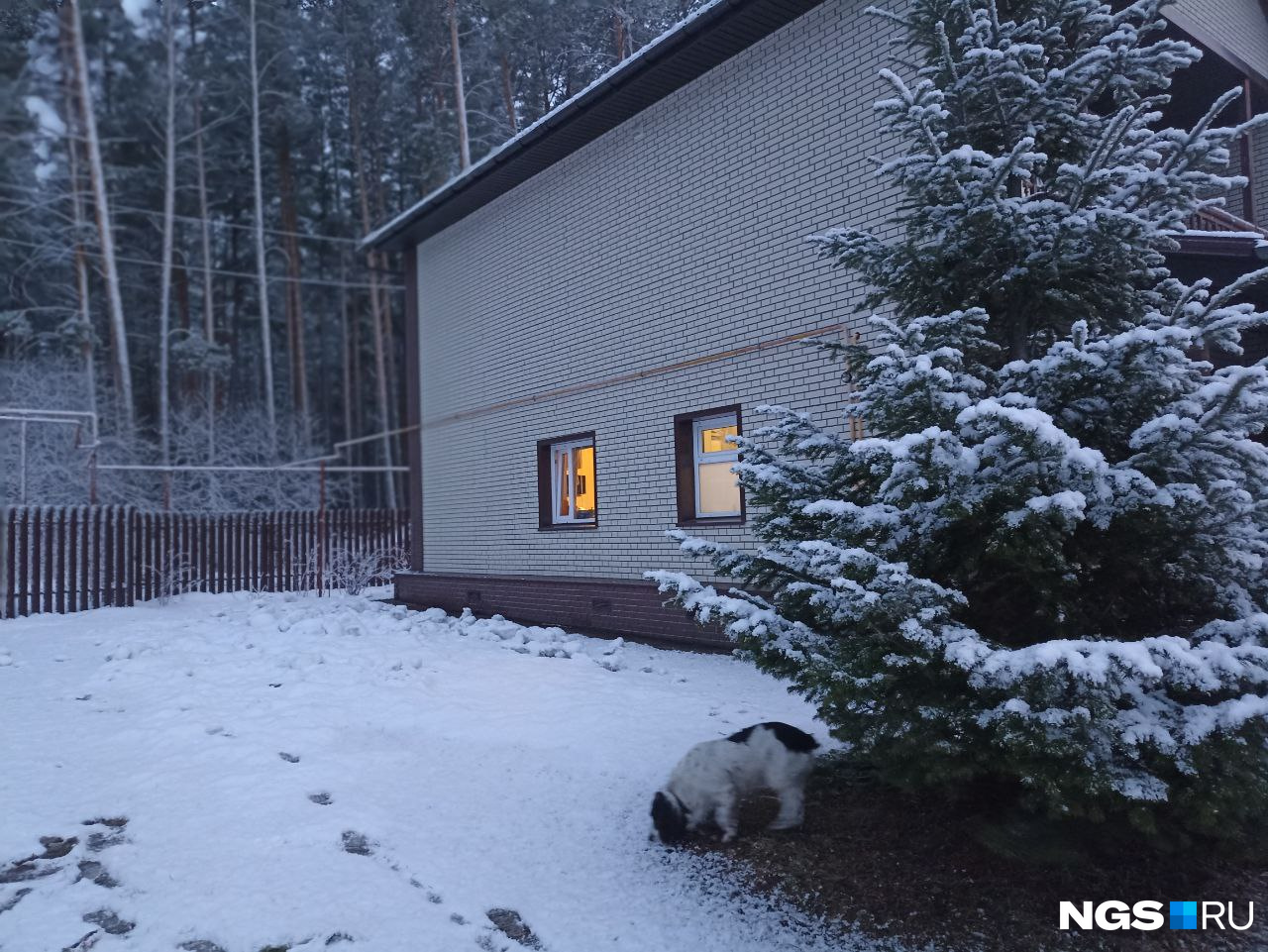 «Новогодний Первомай»: мощный снегопад накрыл Новосибирск — фото с улиц