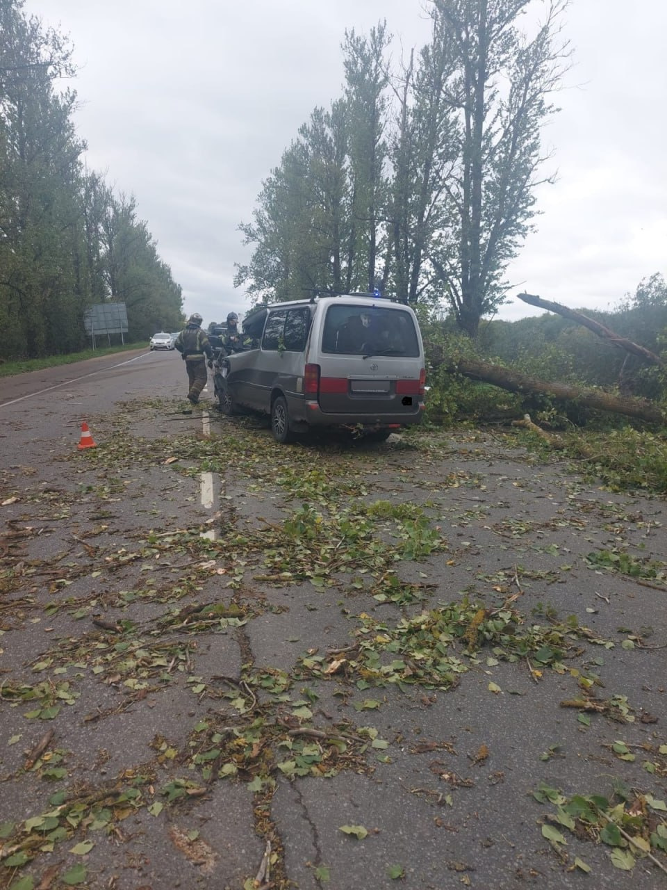 Водитель микроавтобуса погиб в ДТП с упавшим деревом в Гатчинском районе  Ленобласти, фото - 20 сентября 2023 - ФОНТАНКА.ру