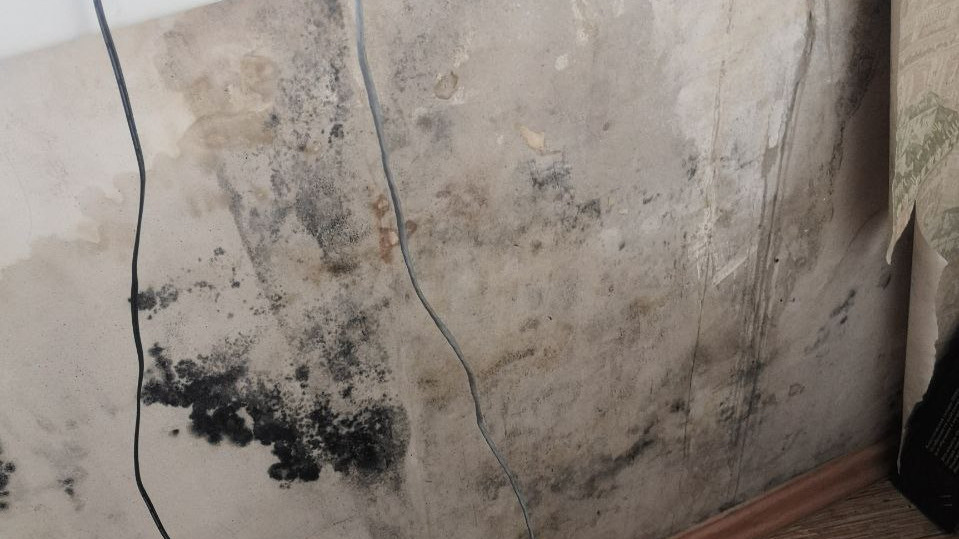 Фонтан из стены и плесень под обоями: челябинцы показали свои квартиры после скандального утепления фасадов