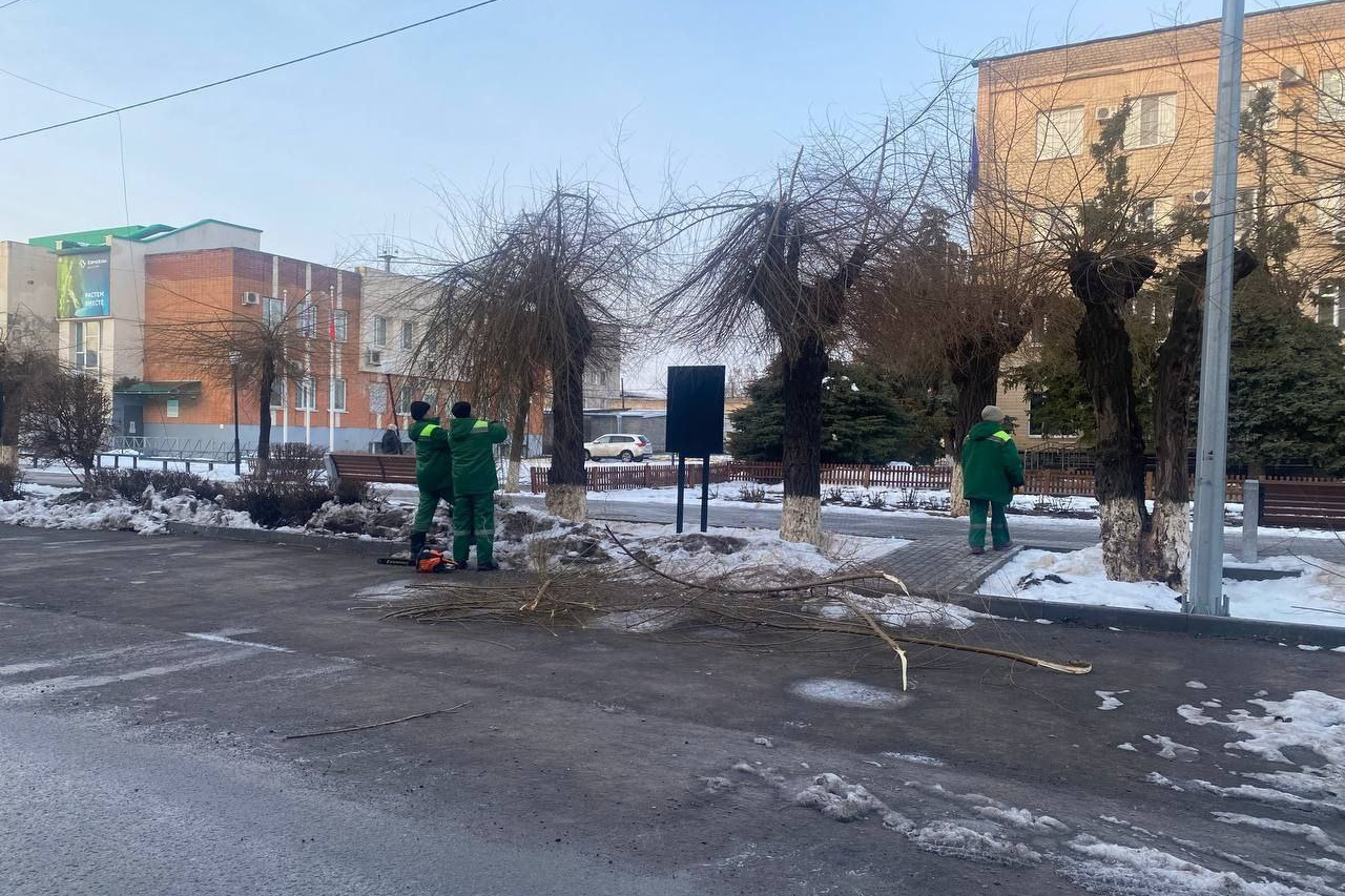 южный дом волгоград. пичуга волгоградская область гостиницы. дом павлова советская ул. мемориал дом павлова волгоград. дом на юге краснодар.