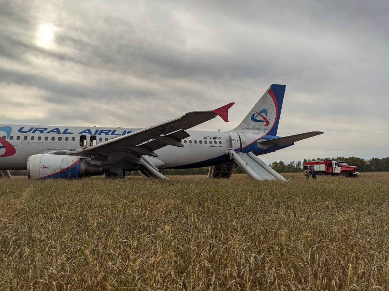 Самолет «Уральских авиалиний» экстренно сел на грунт под Новосибирском: онлайн