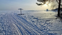 Зимняя сказка: сибирячка поделилась снимками заснеженного парка и пляжа — показываем 10 фото