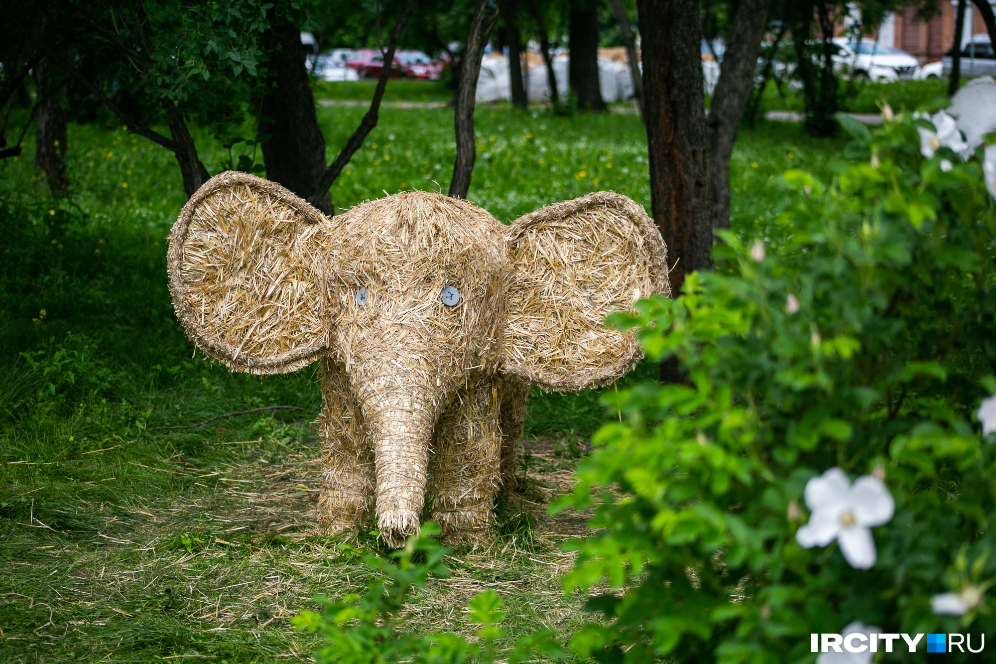 В кустах притаился соломенный слоненок В кустах притаился соломенный слоненок