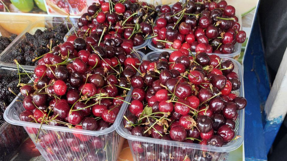 На Кубани начала созревать черешня. Сколько стоит килограмм ягод на рынках?