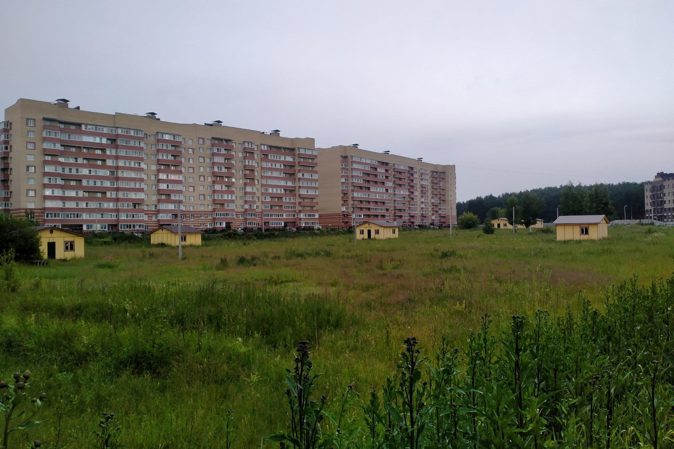 Странные деревянные дома появились под окнами жилого комплекса под  Ярославлем в поселке Красный Бор - 3 июля 2023 - 76.ru