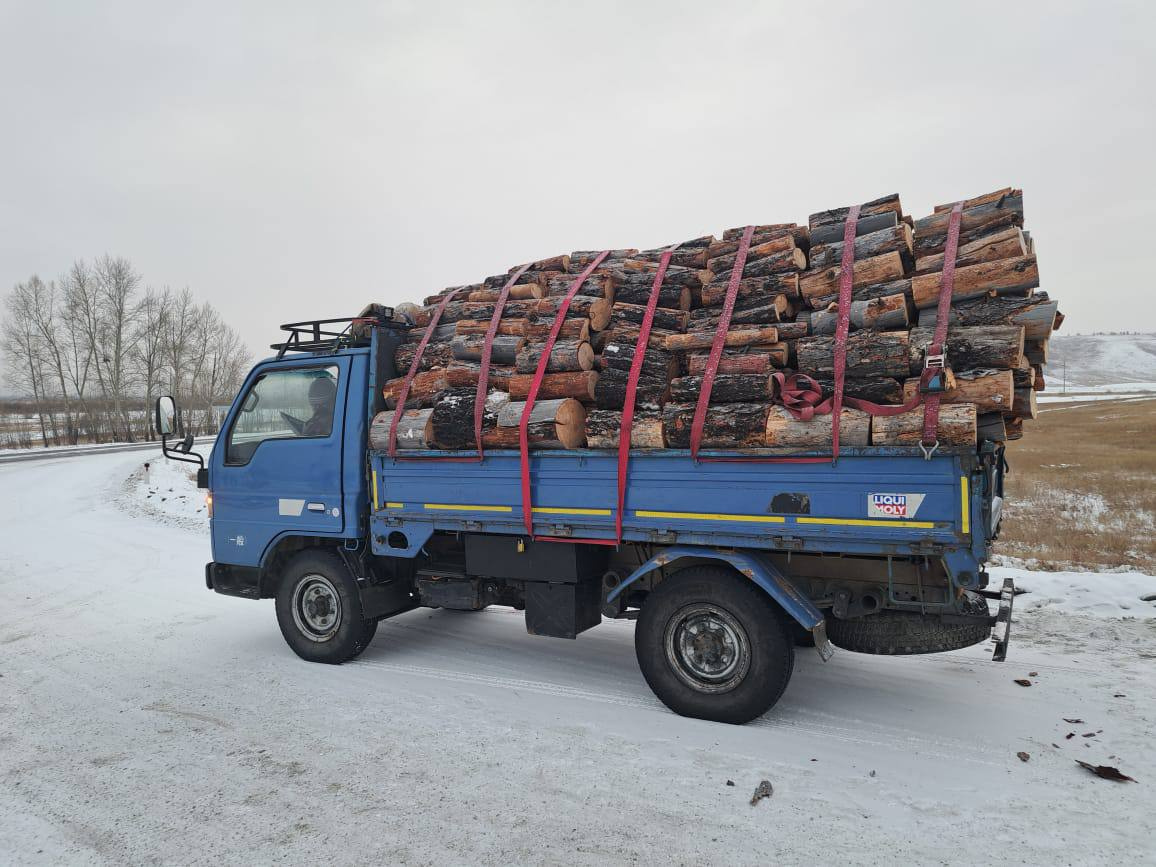 Полицейские поймали забайкальцев, пиливших деревья и продававших на дрова
