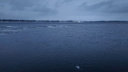 Вот тебе и зима... На Волге у берегов Самары растаял лед