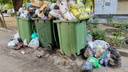 «Наберитесь терпения, доедем»: новый регоператор Волгограда рассказал, почему до сих пор не спас город от завалов мусора