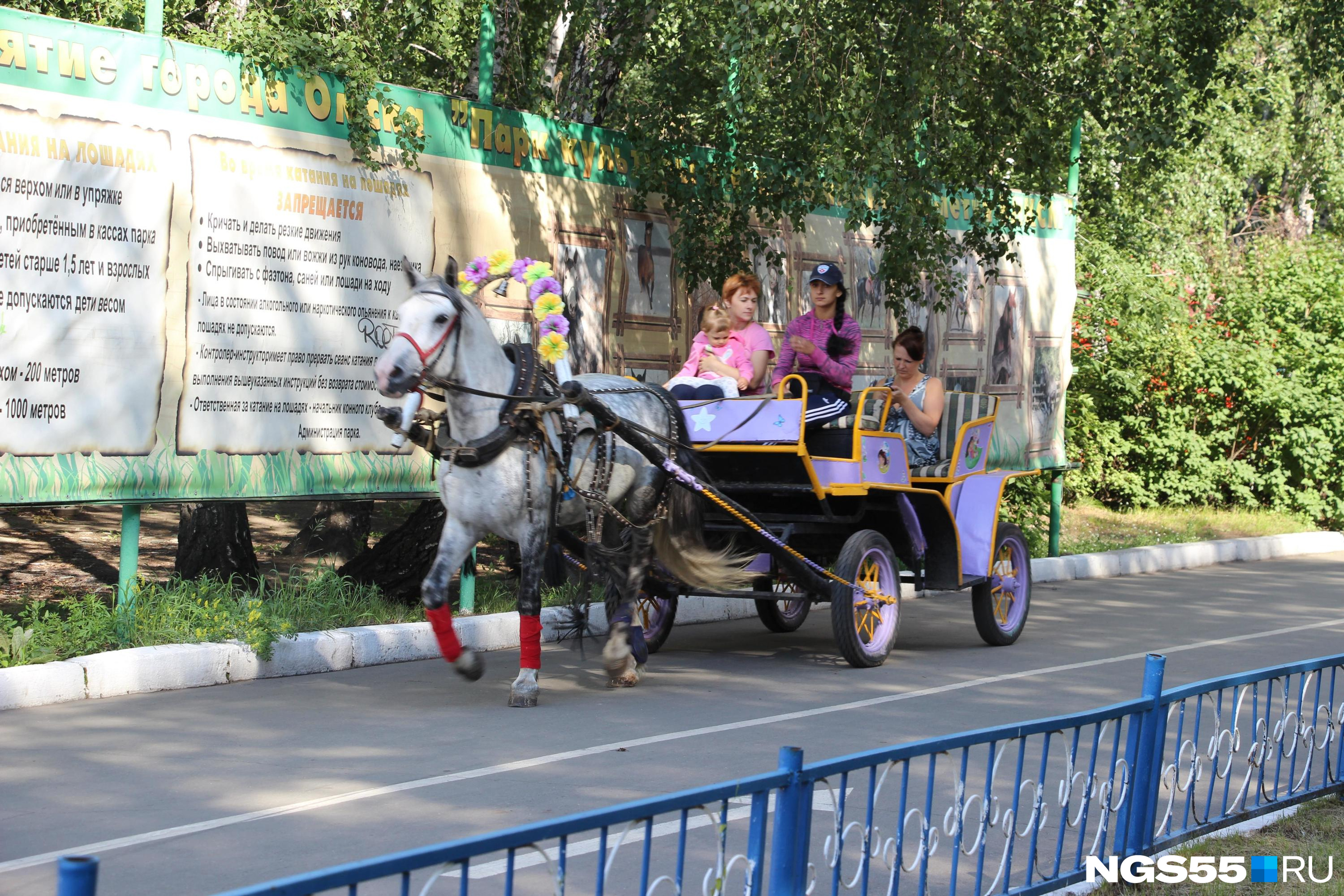 В Новосибирске пройдет фестиваль духовых оркестров на площади Ленина - 21  июня 2023 - НГС