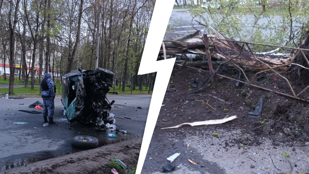 Смял забор, влетел в дерево и перевернулся: четверо пострадали в ДТП в Ярославской области
