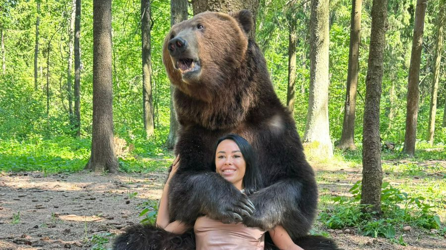 «Почему я не боялась?»: сибирская красотка оседлала огромного медведя — у нее остался синяк от клыков. Видео поездки