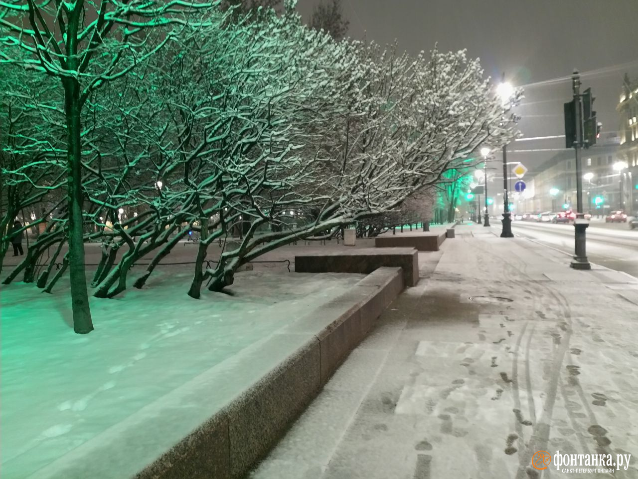 Снежный кот и белый сад. Погода вернула в Петербург новогоднюю атмосферу