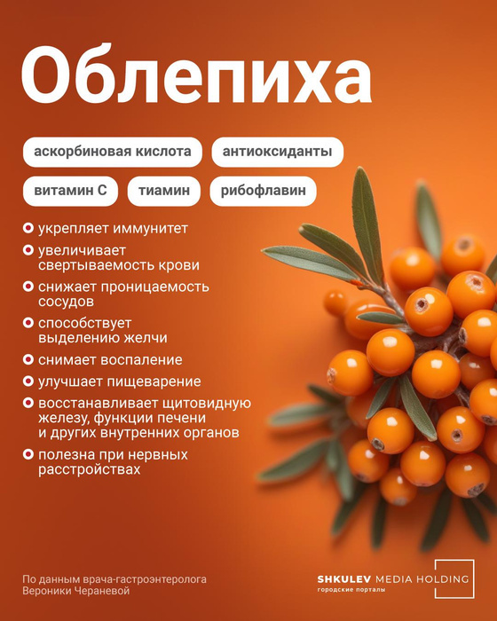 Облепиха может еще не раз пригодиться вам в течение года