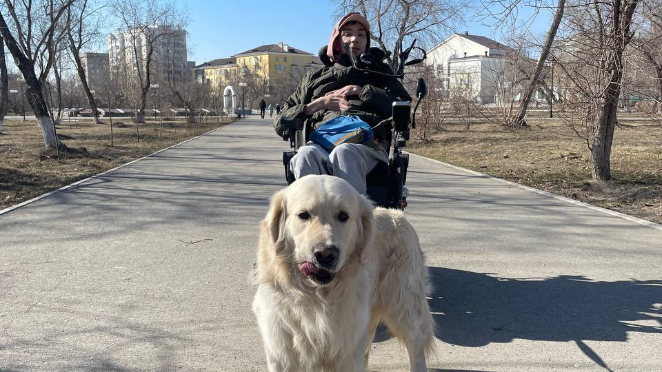«Пес Мишка не дает заскучать»: парализованный парень из Шадринска ведет свой блог