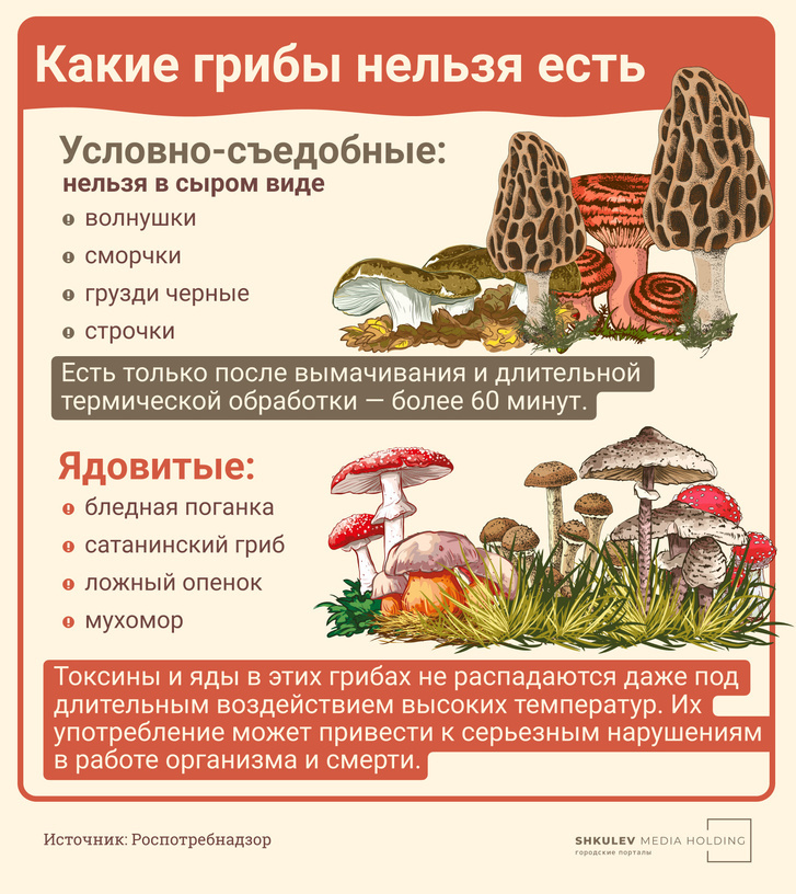 Какие грибы нельзя есть