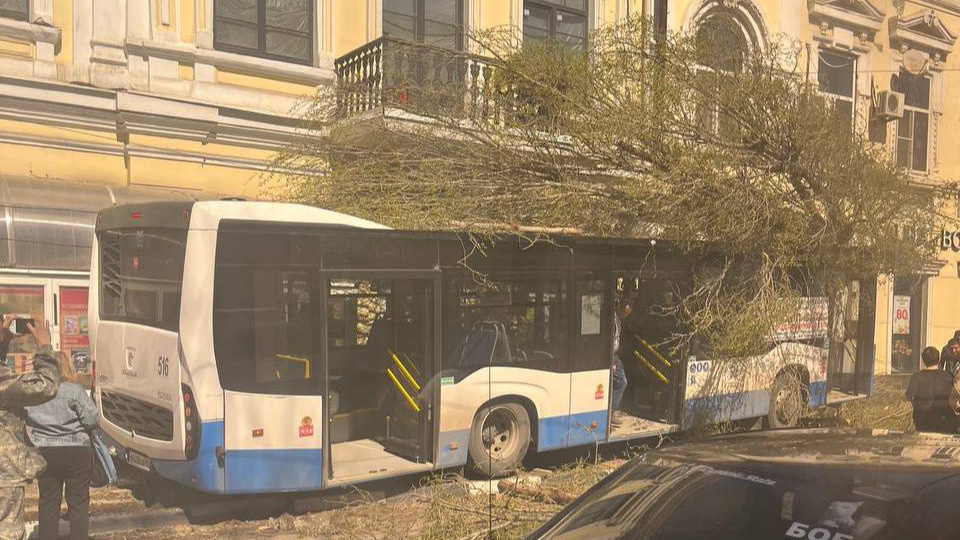 Автобус вылетел на встречку и повалил дерево на Советской