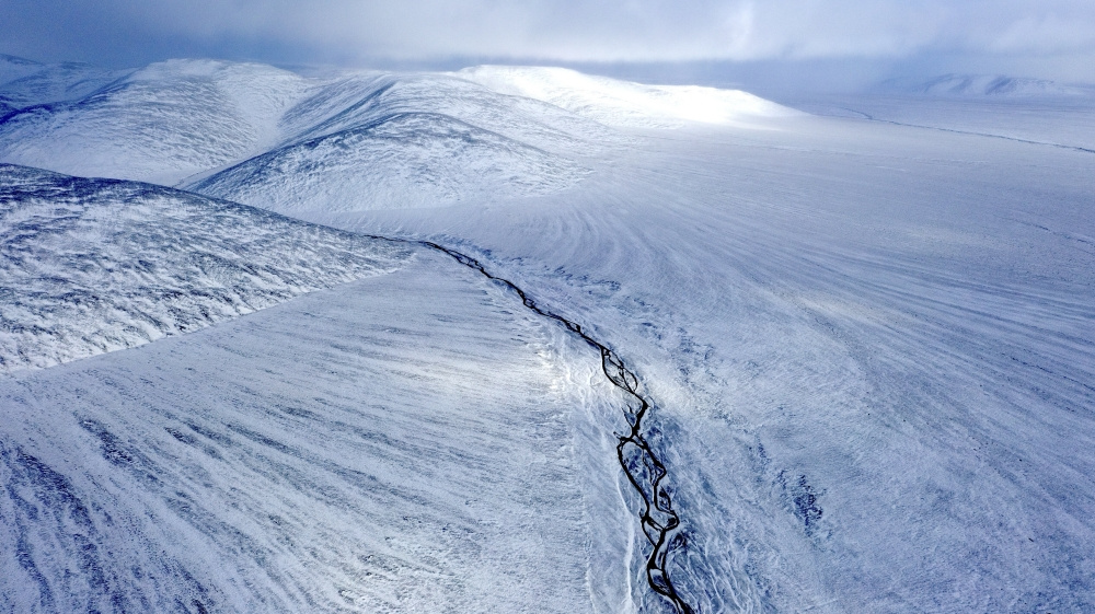 В прокат выходит уникальный документальный фильм Леонида Круглова — результат пяти лет научных экспедиций в Арктику