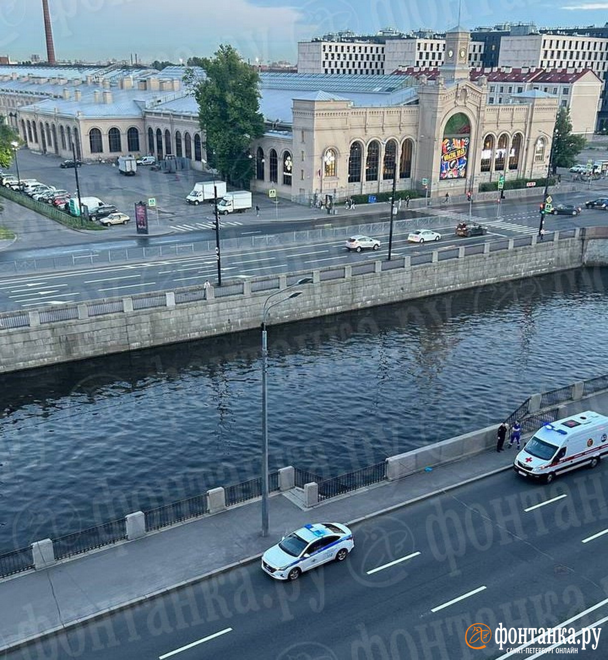 «Собачка или кошечка?» Из Обводного канала в Петербурге вытащили человеческий труп