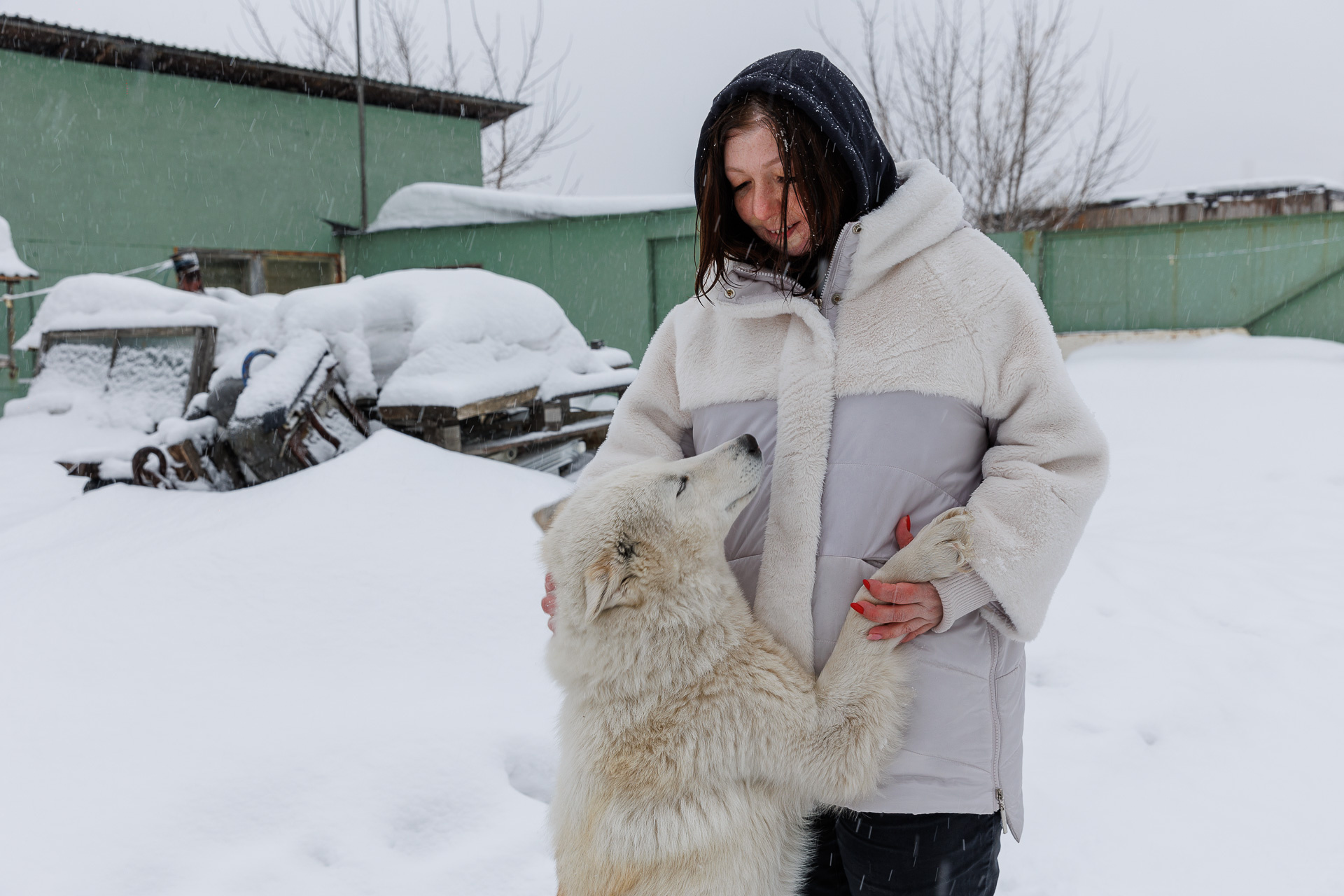 Несколько собак, которые живут вместе с Натальей, — настоящие любимцы всей семьи Несколько собак, которые живут вместе с Натальей, — настоящие любимцы всей семьи