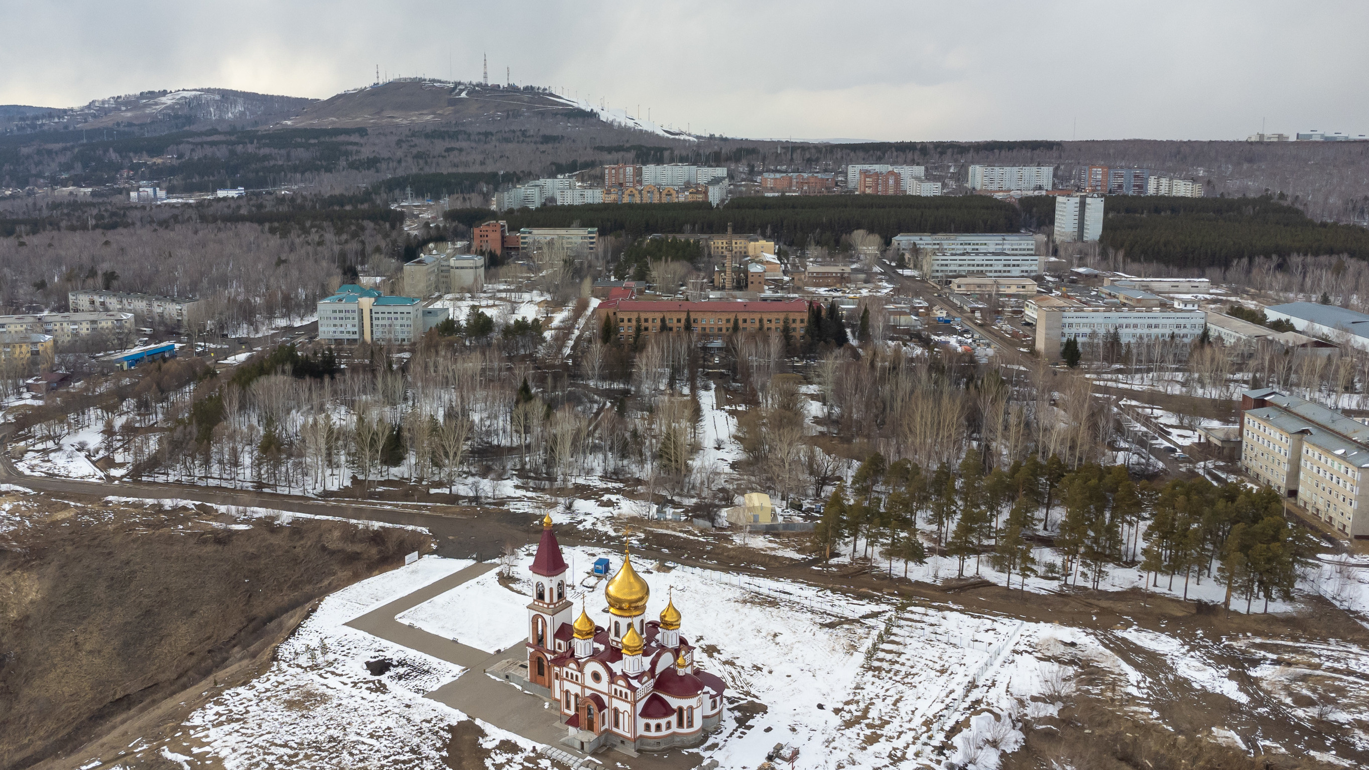 «Краснокнижные деревья выдают за стихийную поросль»: как идет борьба за застройку дендрария в Красноярске