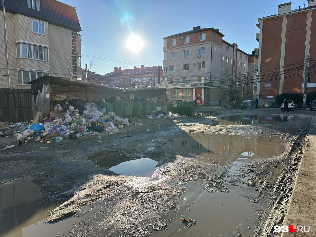 Переполненная мусорка на улице Измаильской. Местная жительница сказала, что у них бегают крысы «размером с кошку»